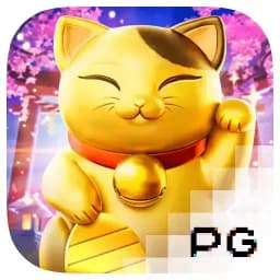 topseosglobal: Lucky Neko